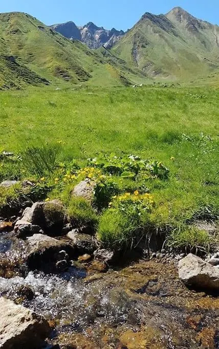 Appartement Spacieux Au Coeur Du Massif Du Sancy Le Mont-Dore